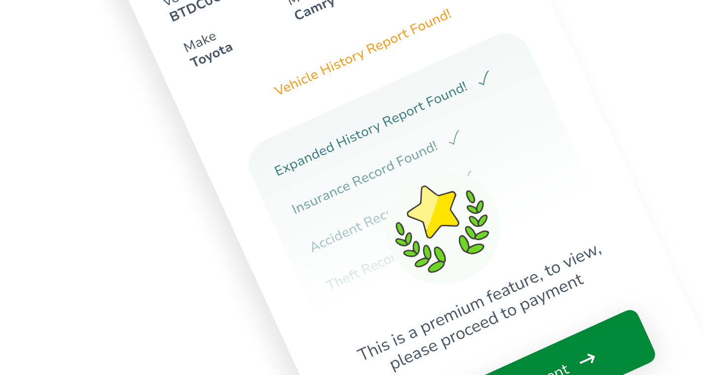 History Report